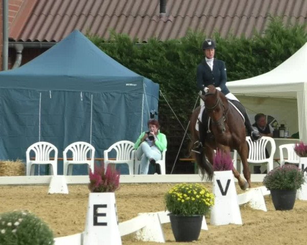 Reitturnier Swisttal-Miel 2019