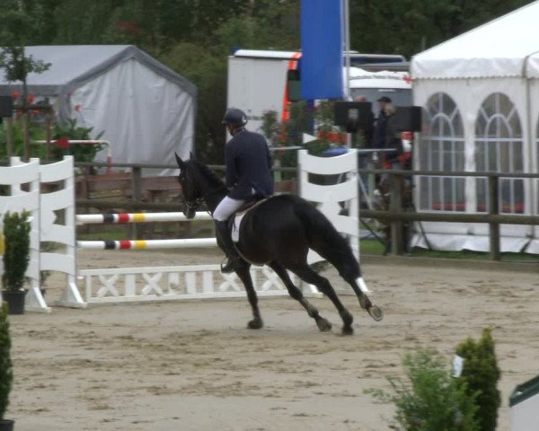 Reitturnier Albersloh 2019