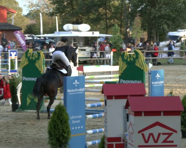 Reitturnier Albersloh 2019