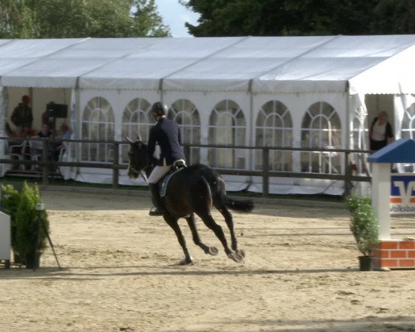 Reitturnier Albersloh 2019