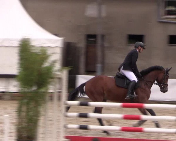 Reitturnier Buchenhof-Ibbenbüren 2019