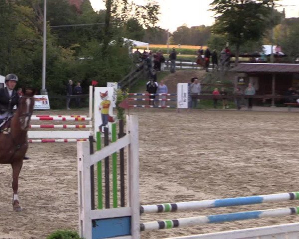 Reitturnier Buchenhof-Ibbenbüren 2019