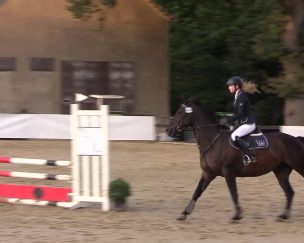 Reitturnier Buchenhof-Ibbenbüren 2019