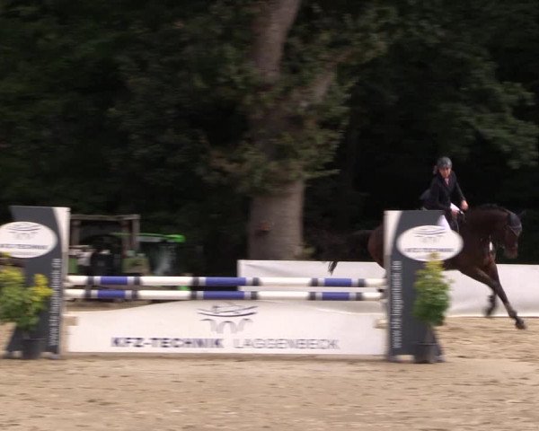 Reitturnier Buchenhof-Ibbenbüren 2019