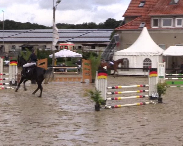 Reitturnier Buchenhof-Ibbenbüren 2019