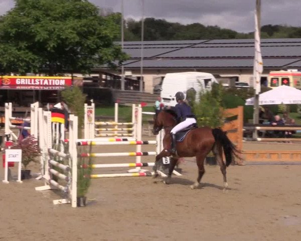 Reitturnier Buchenhof-Ibbenbüren 2019