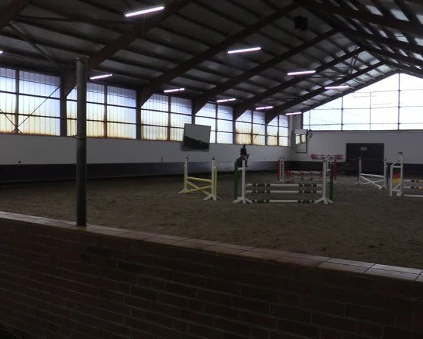 Reitturnier Albersloh 2019