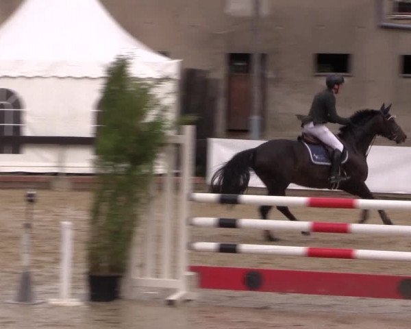 Reitturnier Buchenhof-Ibbenbüren 2019