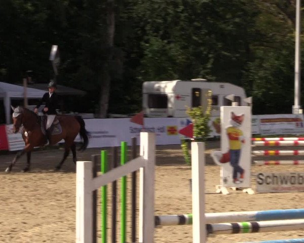 Reitturnier Buchenhof-Ibbenbüren 2019