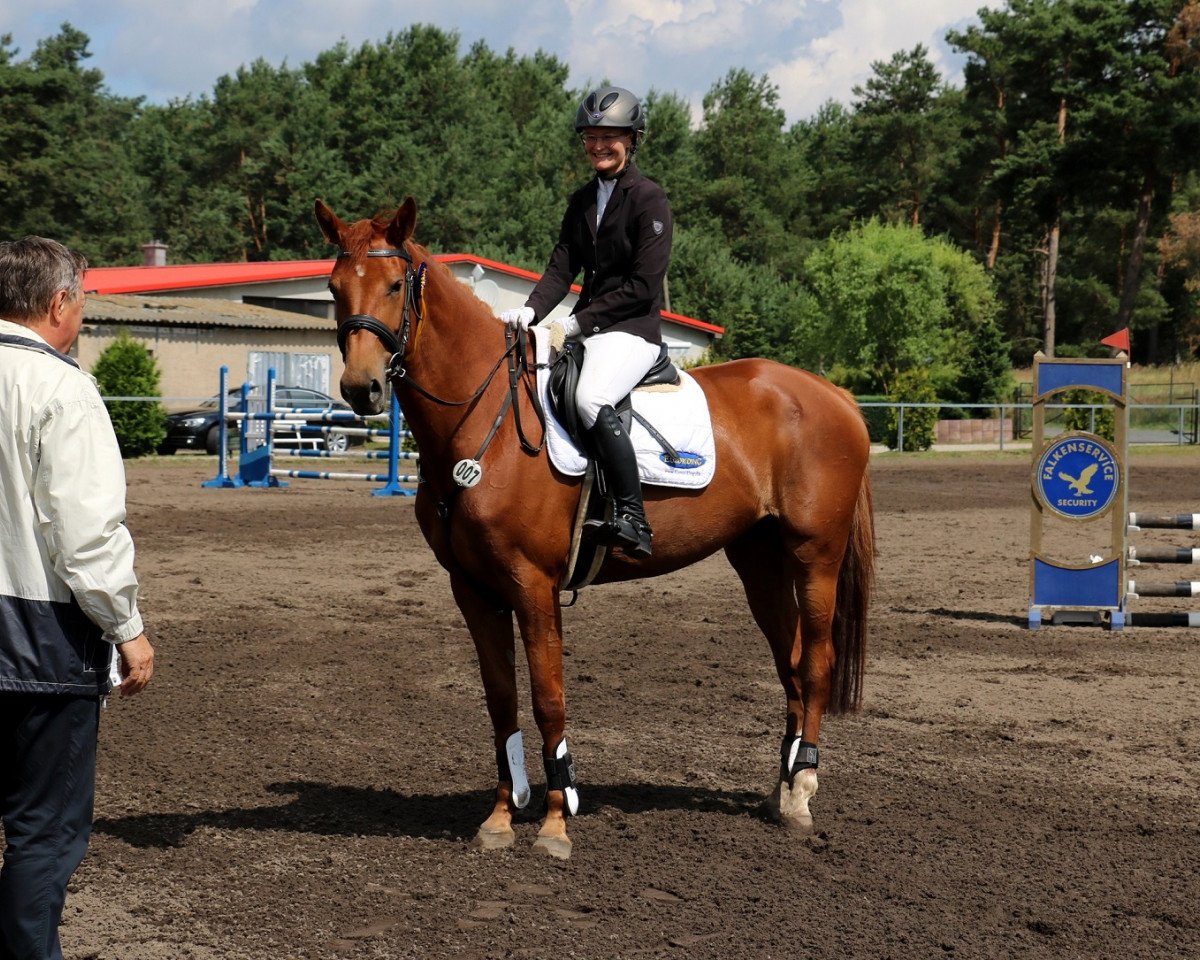 jumper Charlott D (Holsteiner, 2012, from Cassilano)