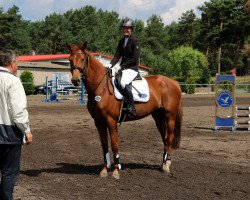jumper Charlott D (Holsteiner, 2012, from Cassilano)