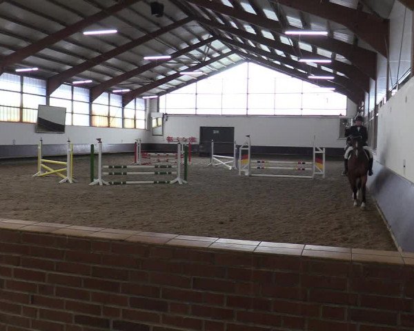 Reitturnier Albersloh 2019