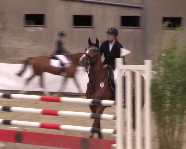 Reitturnier Buchenhof-Ibbenbüren 2019