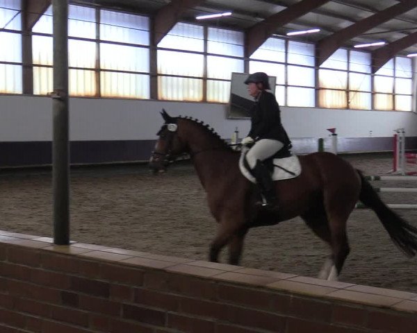 Reitturnier Albersloh 2019
