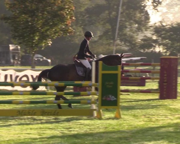 Reitturnier Kellinghusen 2019