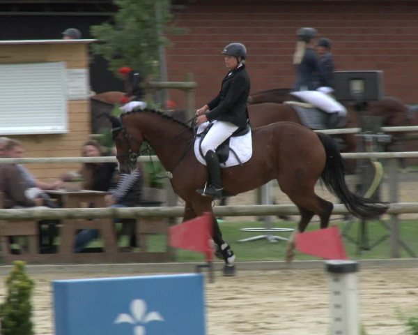 Reitturnier Albersloh 2019