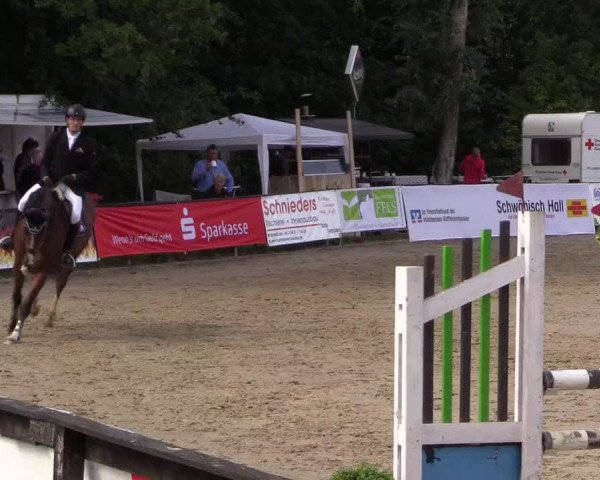 Reitturnier Buchenhof-Ibbenbüren 2019