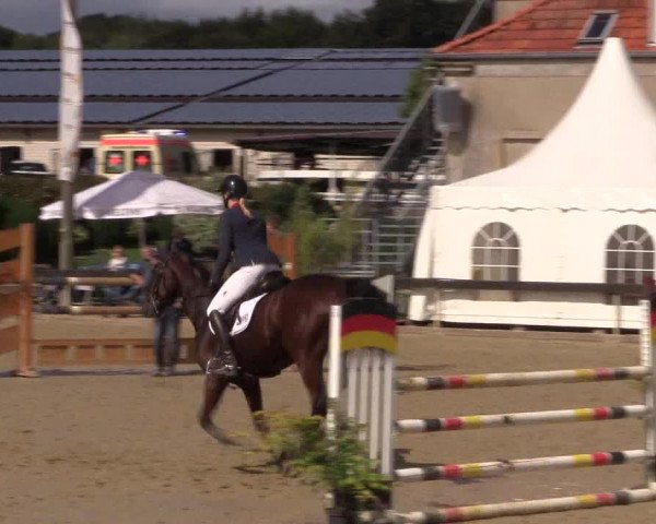 Reitturnier Buchenhof-Ibbenbüren 2019