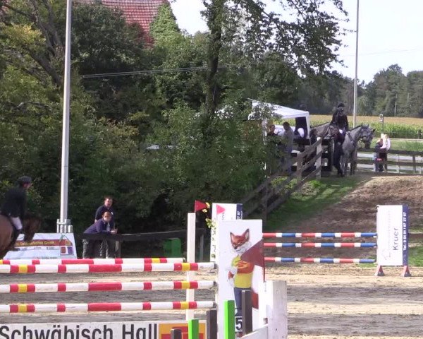 Reitturnier Buchenhof-Ibbenbüren 2019