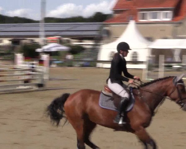 Reitturnier Buchenhof-Ibbenbüren 2019
