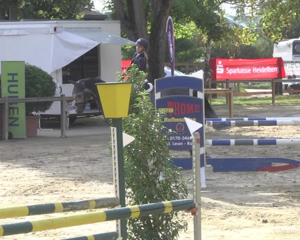 Reitturnier Walldorf/Winterheck 2019