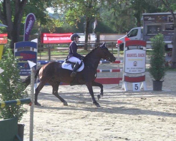 Reitturnier Walldorf/Winterheck 2019