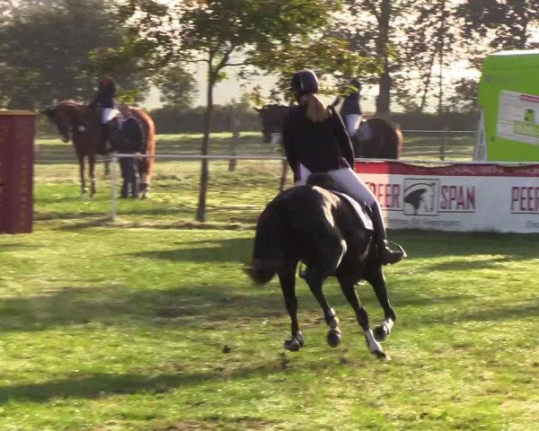 Reitturnier Kellinghusen 2019