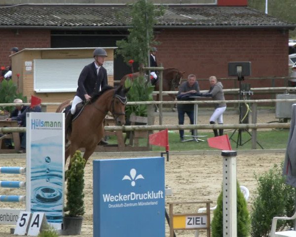 Reitturnier Albersloh 2019