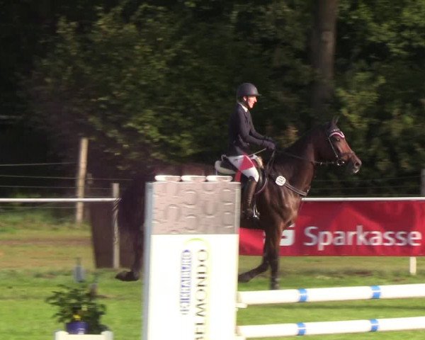 Reitturnier Kellinghusen 2019