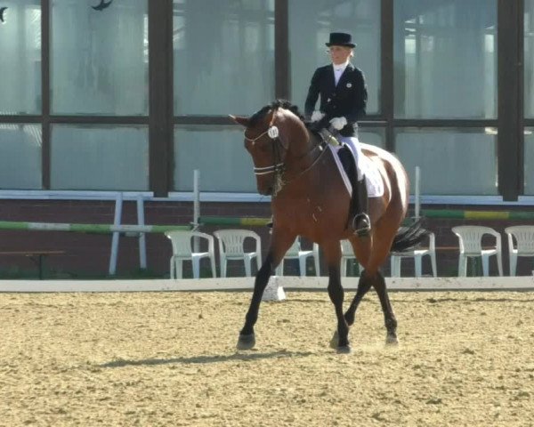 Reitturnier Swisttal-Miel 2019