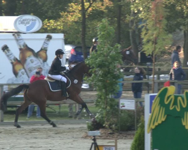 Reitturnier Albersloh 2019