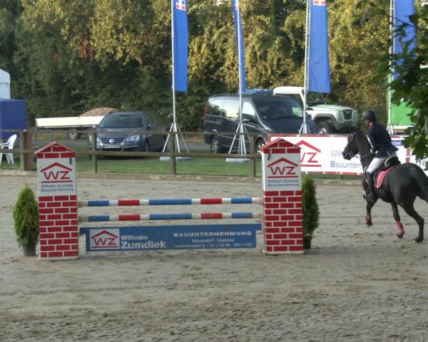 Reitturnier Albersloh 2019