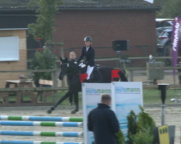 Reitturnier Albersloh 2019
