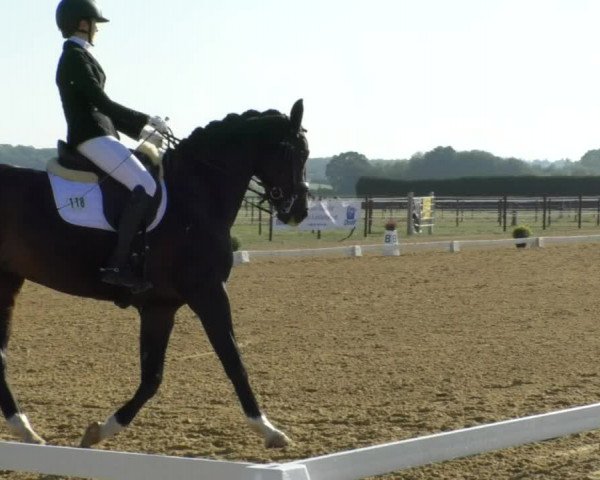 Reitturnier Swisttal-Miel 2019