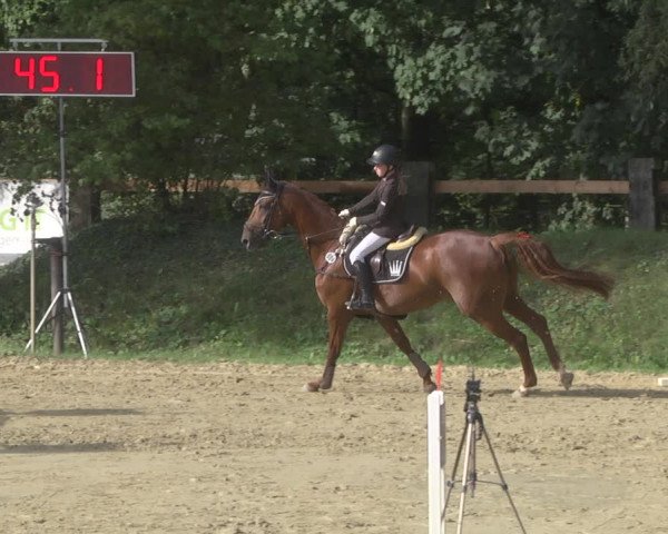 Reitturnier Walldorf/Winterheck 2019