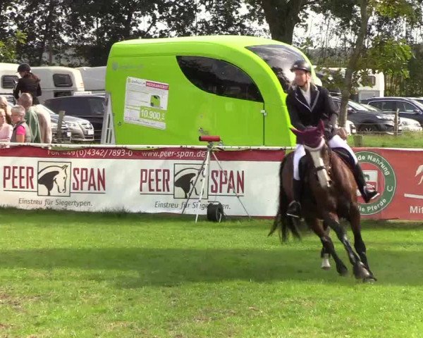 Reitturnier Kellinghusen 2019