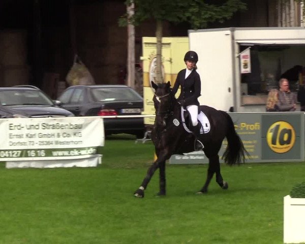 Reitturnier Kellinghusen 2019