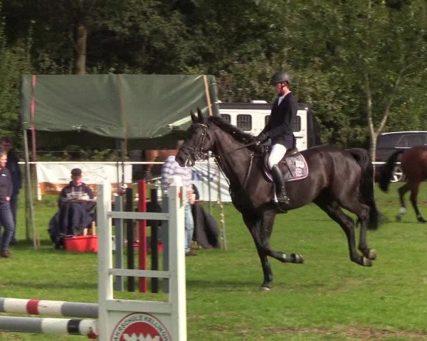 Reitturnier Kellinghusen 2019