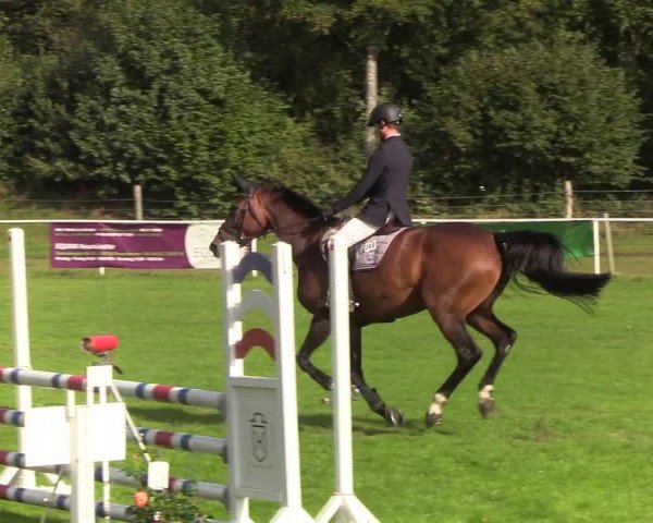Reitturnier Kellinghusen 2019