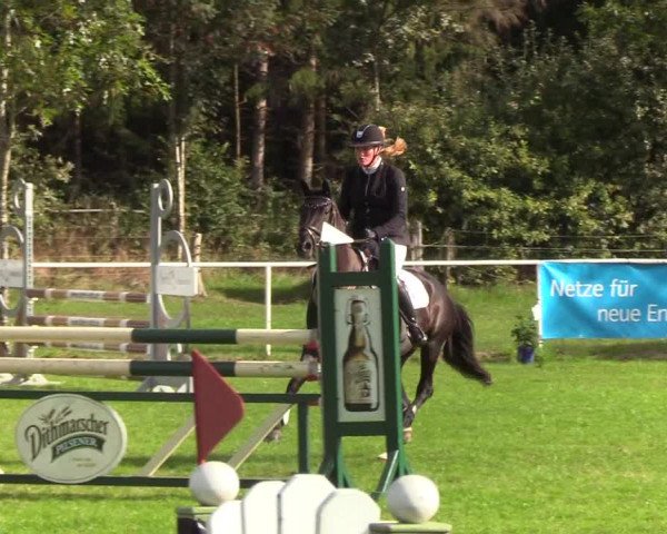 Reitturnier Kellinghusen 2019