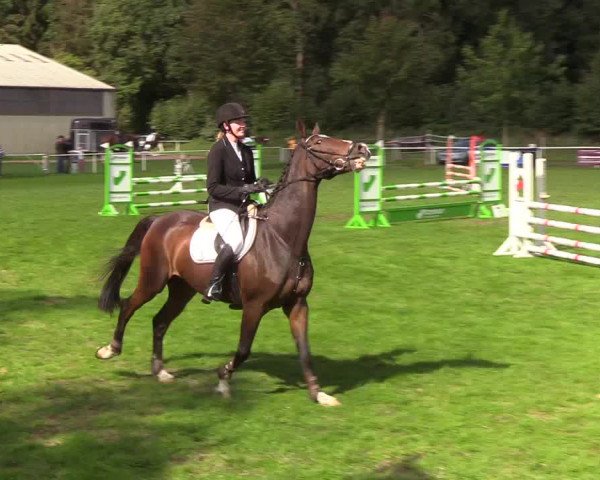 Reitturnier Kellinghusen 2019