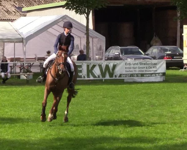Reitturnier Kellinghusen 2019