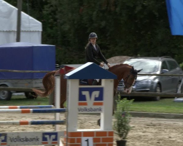 Reitturnier Albersloh 2019