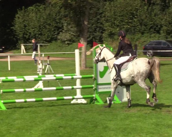 Reitturnier Kellinghusen 2019