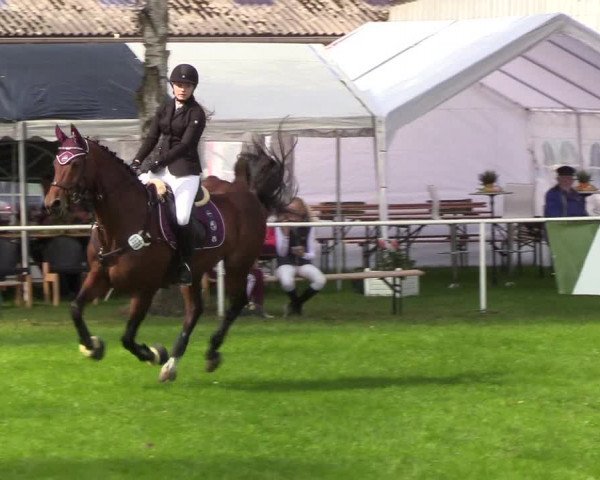 Reitturnier Kellinghusen 2019