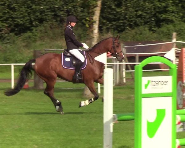 Reitturnier Kellinghusen 2019