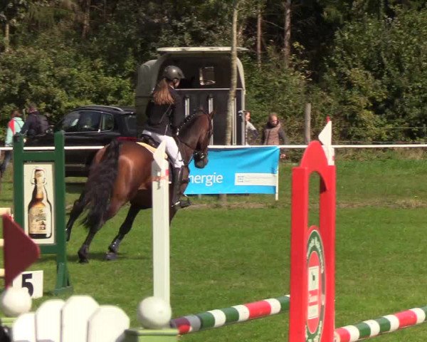 Reitturnier Kellinghusen 2019