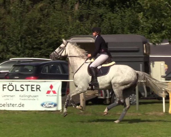 Reitturnier Kellinghusen 2019