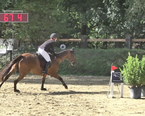 Reitturnier Walldorf/Winterheck 2019