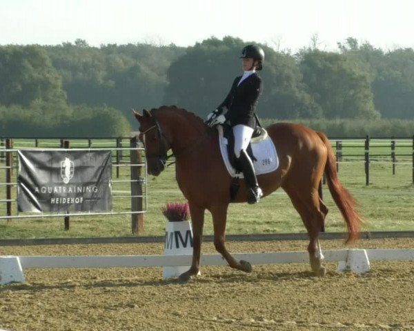 Reitturnier Swisttal-Miel 2019